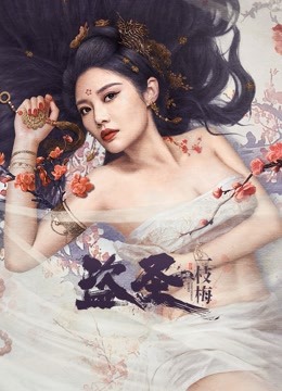 盗圣一枝梅海报