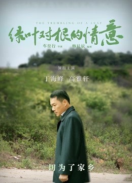 绿叶对根的情意海报