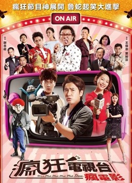 疯狂电视台疯电影海报