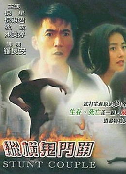 伴你纵横海报