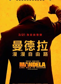 曼德拉（普通话）海报