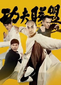 功夫联盟海报