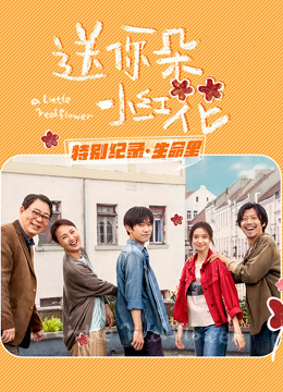 送你一朵小红花 · 特别纪录最终集海报