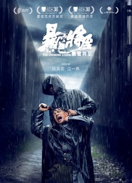 暴雪将至海报