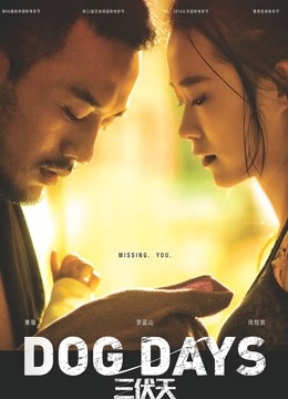 三伏天海报
