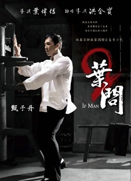 叶问2：宗师传奇海报