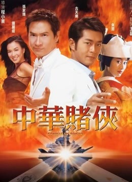 中华赌侠海报