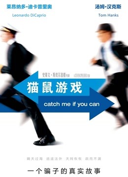 猫鼠游戏（普通话）海报