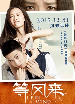 等风来（无障碍解说版）海报