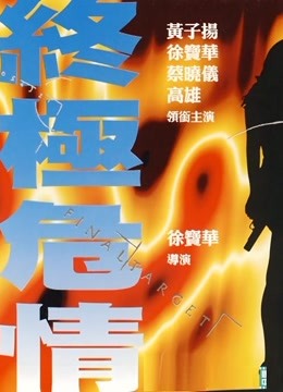 终极危情海报