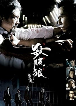 杀破狼海报