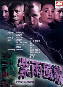紫雨风暴海报