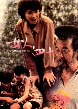 女人四十（1995）海报