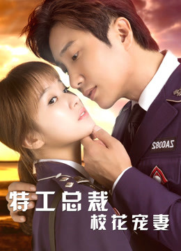 特工总裁校花宠妻海报