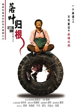 落叶归根海报