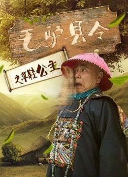 毛驴县令之草鞋公主海报