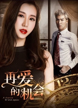 再爱的机会海报