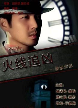 火线追凶之冲破黑幕海报