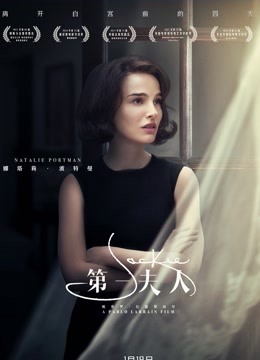 第一夫人（普通话）海报