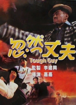 忽然丈夫海报