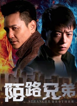 陌路兄弟海报