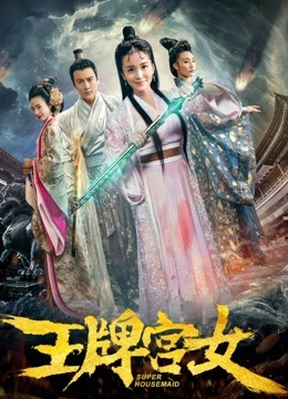 王牌宫女海报