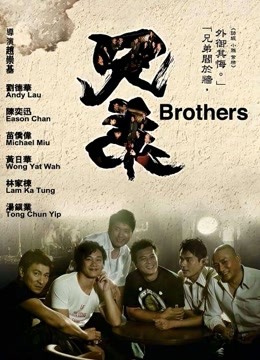 兄弟（2007）海报