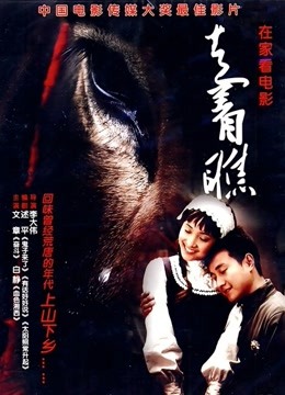走着瞧海报