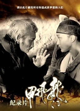 龙门飞甲纪录片海报