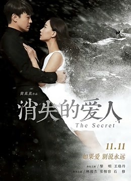 消失爱人海报