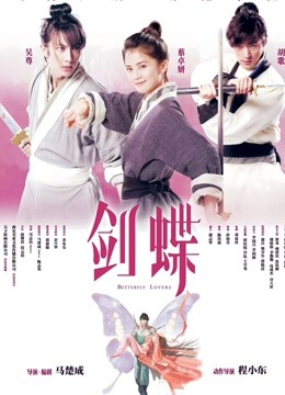 剑蝶海报