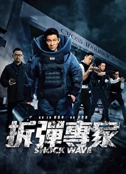 拆弹专家（粤语）海报