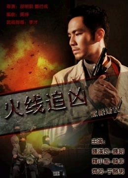 火线追凶之黑枪疑云海报