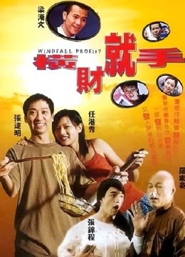 横财就手（2002）海报