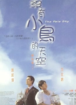 没有小鸟的天空（粤语）海报