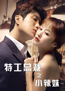 特工总裁小辣妹海报