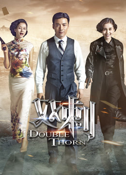 双刺DVD版海报
