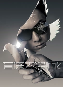 盲侠大律师2 粤语海报
