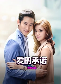爱的承诺普通话版海报