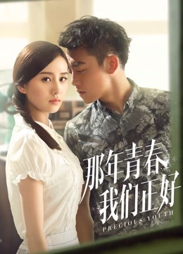 那年青春我们正好海报