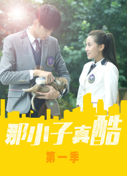 那小子真酷第一季海报