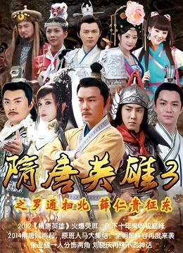 隋唐英雄3DVD版海报