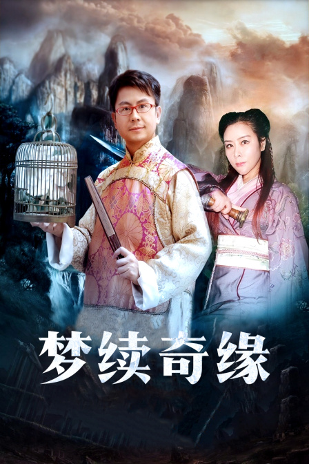 梦续奇缘海报