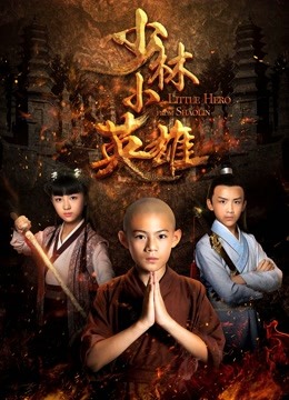 少林小英雄海报