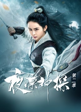 夜凛神探第二季海报