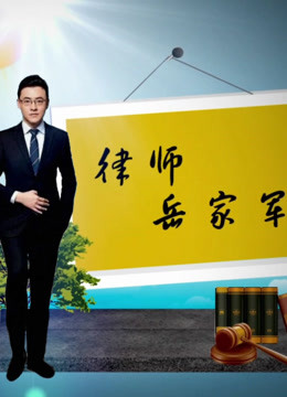 律师岳家军海报