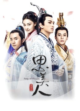 思美人DVD版海报