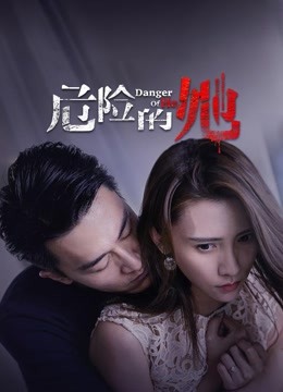 危险的她海报