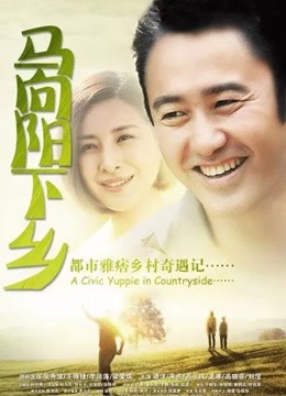 马向阳下乡记海报