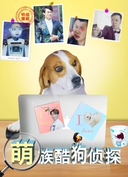 萌族酷狗侦探第一季海报